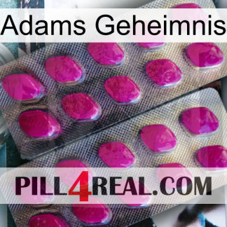 Adams Secret 10